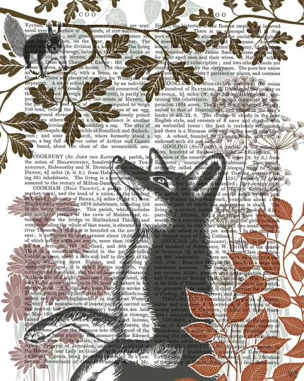Country Lane Fox 5, Earth, Book Print, Art Print, Wall Art