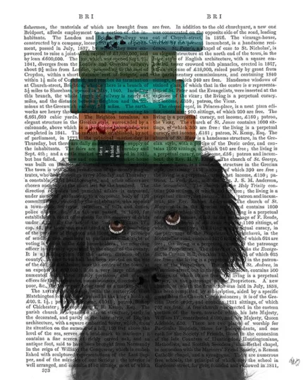 Labradoodle Black & Books Dog Book Print, Art Print, Wall Art