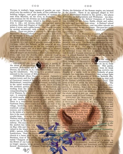 Cow Cream, Bluebells, Book Print, Art Print, Wall Art