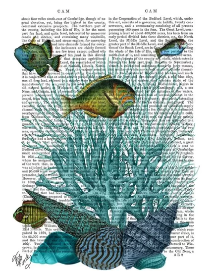 Fish, Blue Shells and Corals, Book Print, Art Print, Wall Art