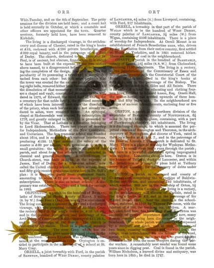 Black and White Dog Landed in Autumn, Book Print, Art Print, Wall Art