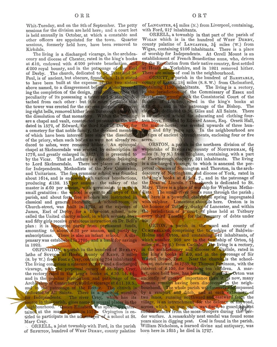 0mBlack-and-White-Dog-Landed-in-Autumn-Book-Print-Art-Print-Wall-Art