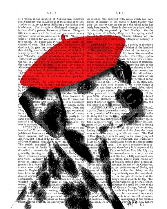0oDalmatian-With-Red-Beret-Book-Print-Dog-Art-Print-Wall-Art