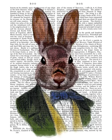 Rabbit in Green Jacket, Book Print, Art Print, Wall Art