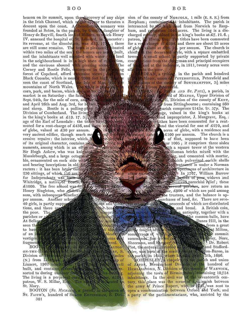0qRabbit-in-Green-Jacket-Book-Print-Art-Print-Wall-Art