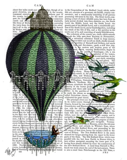Hot Air Balloon and Birds, Book Print, Art Print, Wall Art