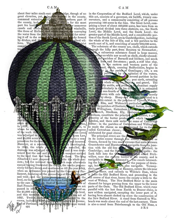 0tHot-Air-Balloon-and-Birds-Book-Print-Art-Print-Wall-Art