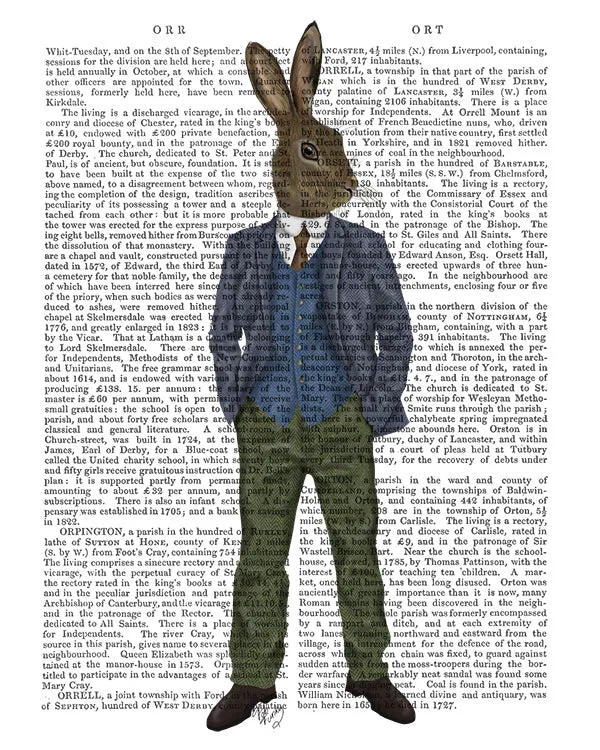 0yRabbit-in-Blue-Waistcoat-Book-Print-Art-Print-Wall-Art
