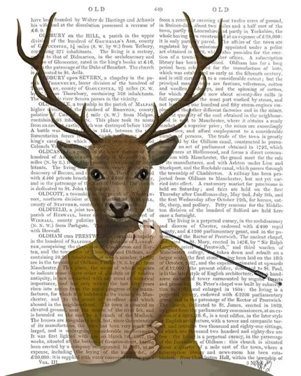 Dear Audrey, Book Print, Art Print, Wall Art