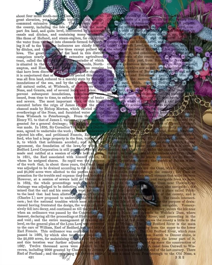 Horse Mad Hatter, Close Up, Book Print, Art Print, Wall Art