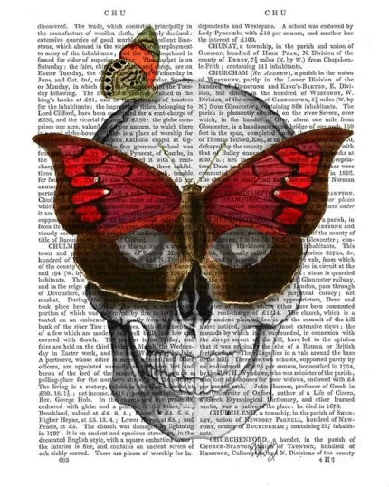 Pink Butterfly Mask Skull, Book Print, Art Print, Wall Art