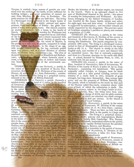 Pomeranian Ice Cream, Book Print, Dog Art Print, Wall Art