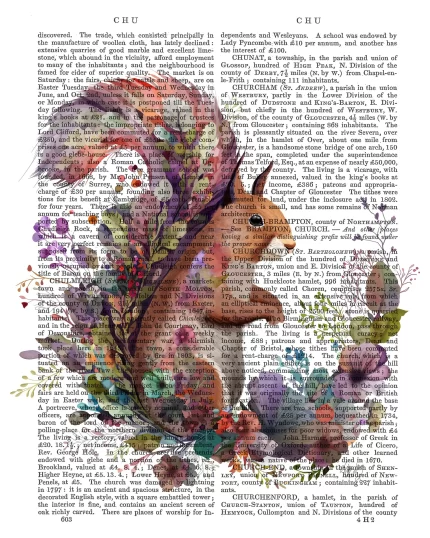 Floralessence Squirrel 2, Book Print, Art Print, Wall Art