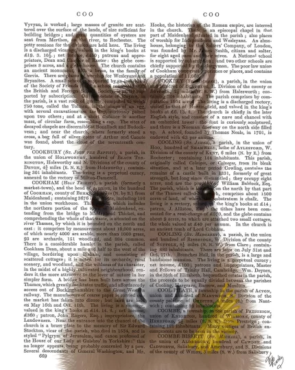 Donkey Yellow Flower, Book Print, Art Print, Wall Art