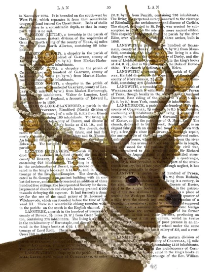 Deer with Gold Bells, Book Print, Art Print, Wall Art
