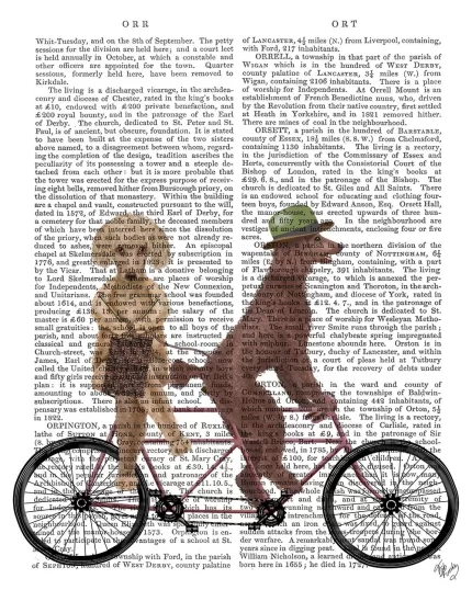 Poodle Tandem, Book Print, Dog Art Print, Wall Art