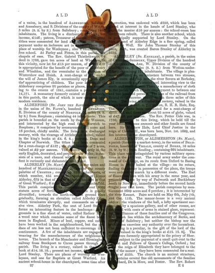 Dandy Fox, Full, Book Print, Art Print, Wall Art