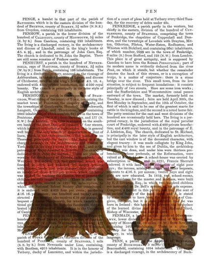 Bear Roasting Marshmallows, Book Print, Art Print, Wall Art