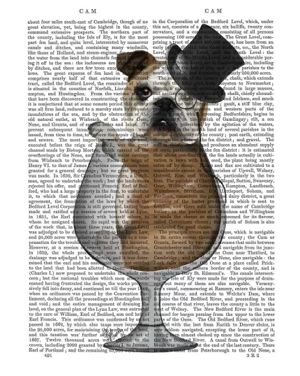 English Bulldog in Brandy Glass, Book Print, Dog Art Print, Wall Art