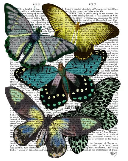 Big Bold Butterflies 6, Book Print, Art Print, Wall Art