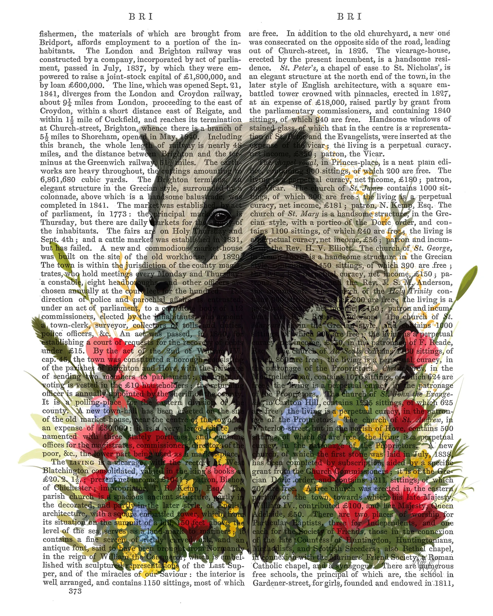 1rFloralessence-Badger-2-Book-Print-Art-Print-Wall-Art