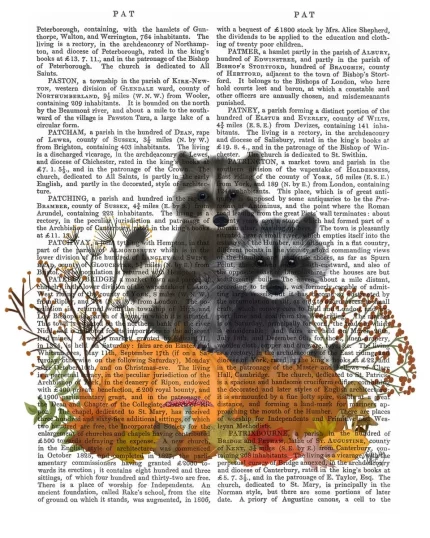 Raccoons On Pumpkins Under Tree, Book Print, Art Print, Wall Art