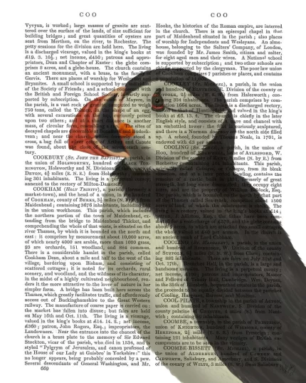 Puffin Portrait 3, Book Print, Art Print, Wall Art