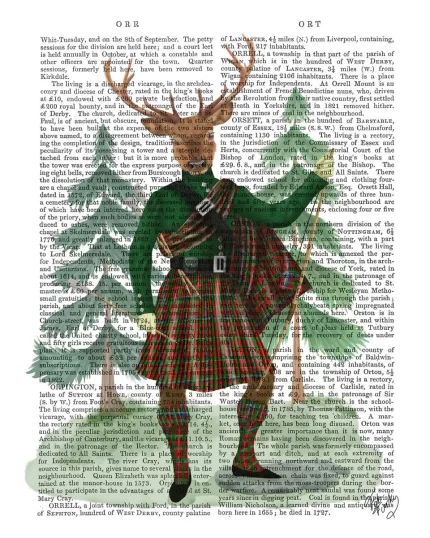 Scottish Deer Major Malcolm, Full, Book Print, Art Print, Wall Art