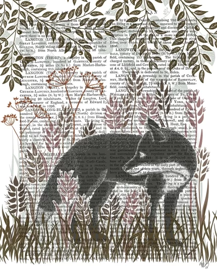 Country Lane Fox 2, Earth, Book Print, Art Print, Wall Art