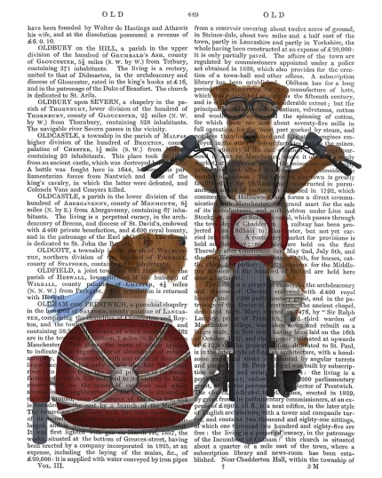 Airedale Chopper and Sidecar, Book Print, Dog Art Print, Wall Art