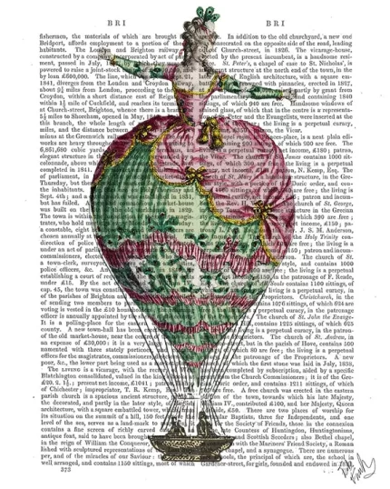 18th century Hot Air Balloon Woman 2, Book Print, Art Print, Wall Art