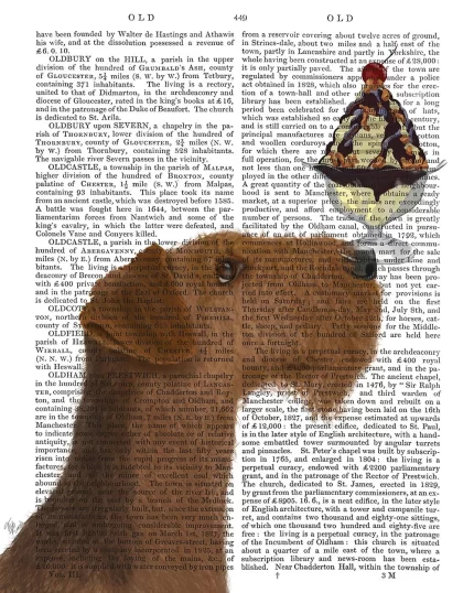 Airedale Ice Cream, Book Print, Dog Art Print, Wall Art