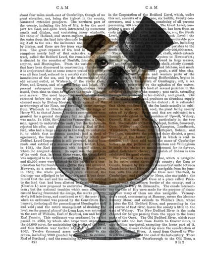 English Bulldog in Brandy Glass Dog Book Print, Art Print, Wall Art