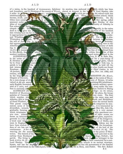 Pineapple, Monkeys, Book Print, Art Print, Wall Art