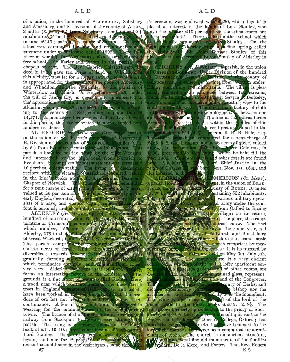 2hPineapple-Monkeys-Book-Print-Art-Print-Wall-Art