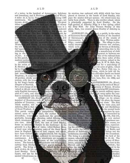 Boston Terrier, Formal Hound and Hat Dog  Book Print, Art Print, Wall Art