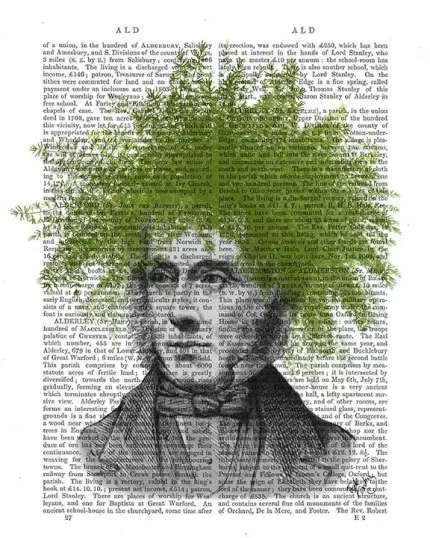 Asparagus Fern Head, Plant Head, Book Print, Art Print, Wall Art