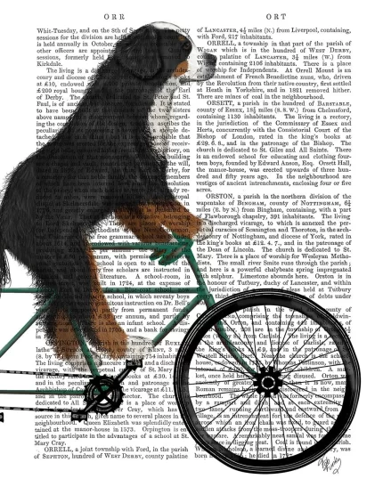 Bernese Mountain Dog On Bicycle, Book Print, Dog Art Print, Wall Art