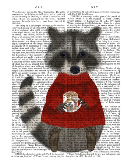 Raccoon with Hot Chocolate, Book Print, Art Print, Wall Art