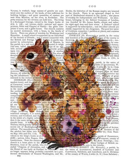 Floralessence Squirrel 1, Book Print, Art Print, Wall Art
