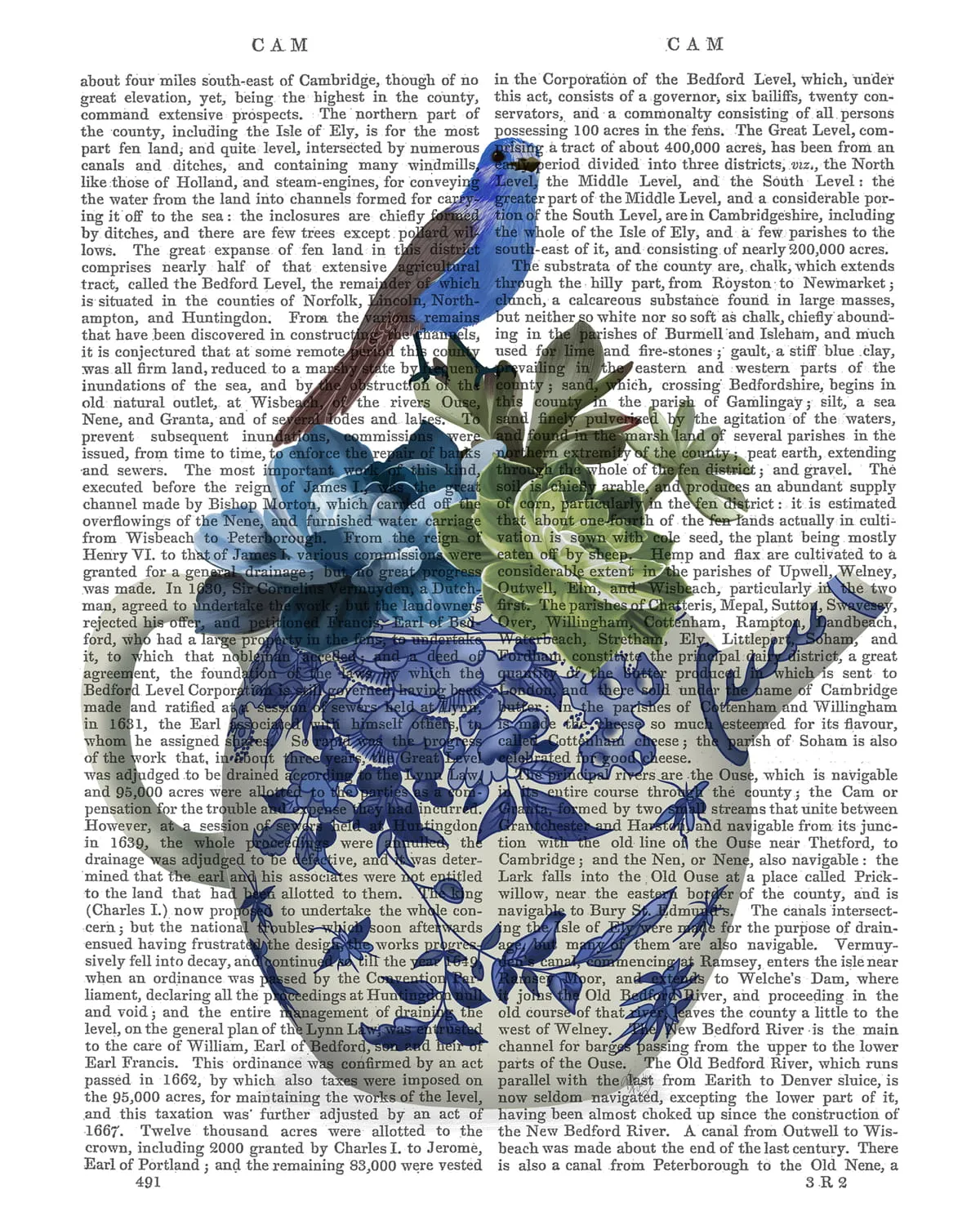 2vChinoiserie-Teapot-Echevaria-and-Bird-Book-Print-Art-Print-Wall-art