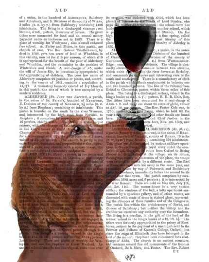 Red Setter, Irish Setter Dog Au Vin Book Print, Art Print, Wall Art