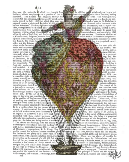 18th Century Hot Air Balloon Woman 3, Book Print, Art Print, Wall Art