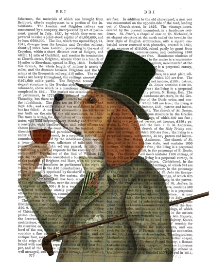 Beagle Wine Snob, Book Print, Dog Art Print, Wall Art