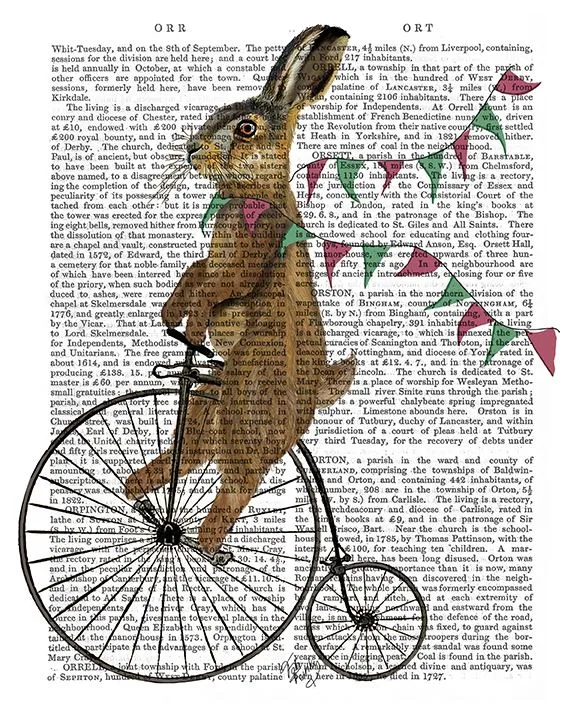3aRabbit-On-Penny-Farthing-Book-Print-Art-Print-Wall-Art