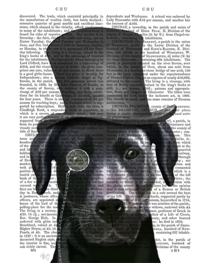 Black Labrador Formal Hound and Hat Dog Book Print, Art Print, Wall Art