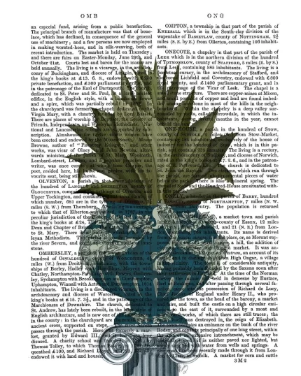 Classsical Botanicals 3, Book Print, Art Print, Wall Art