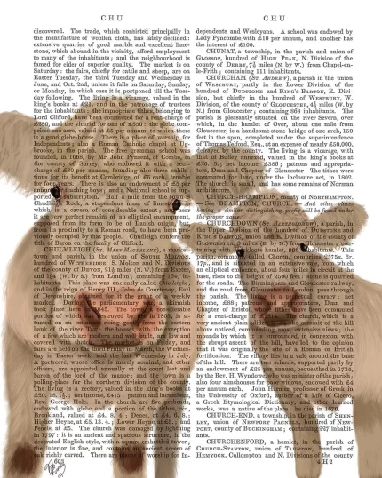 Cow Duo, Cream, Looking at You, Book Print, Art Print, Wall Art