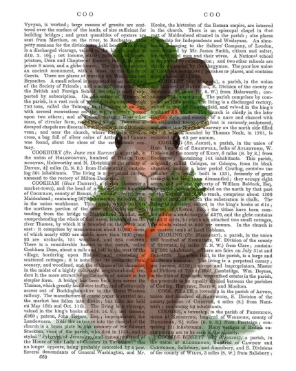 Rabbit Carrot Hat, Book Print, Art Print, Wall Art