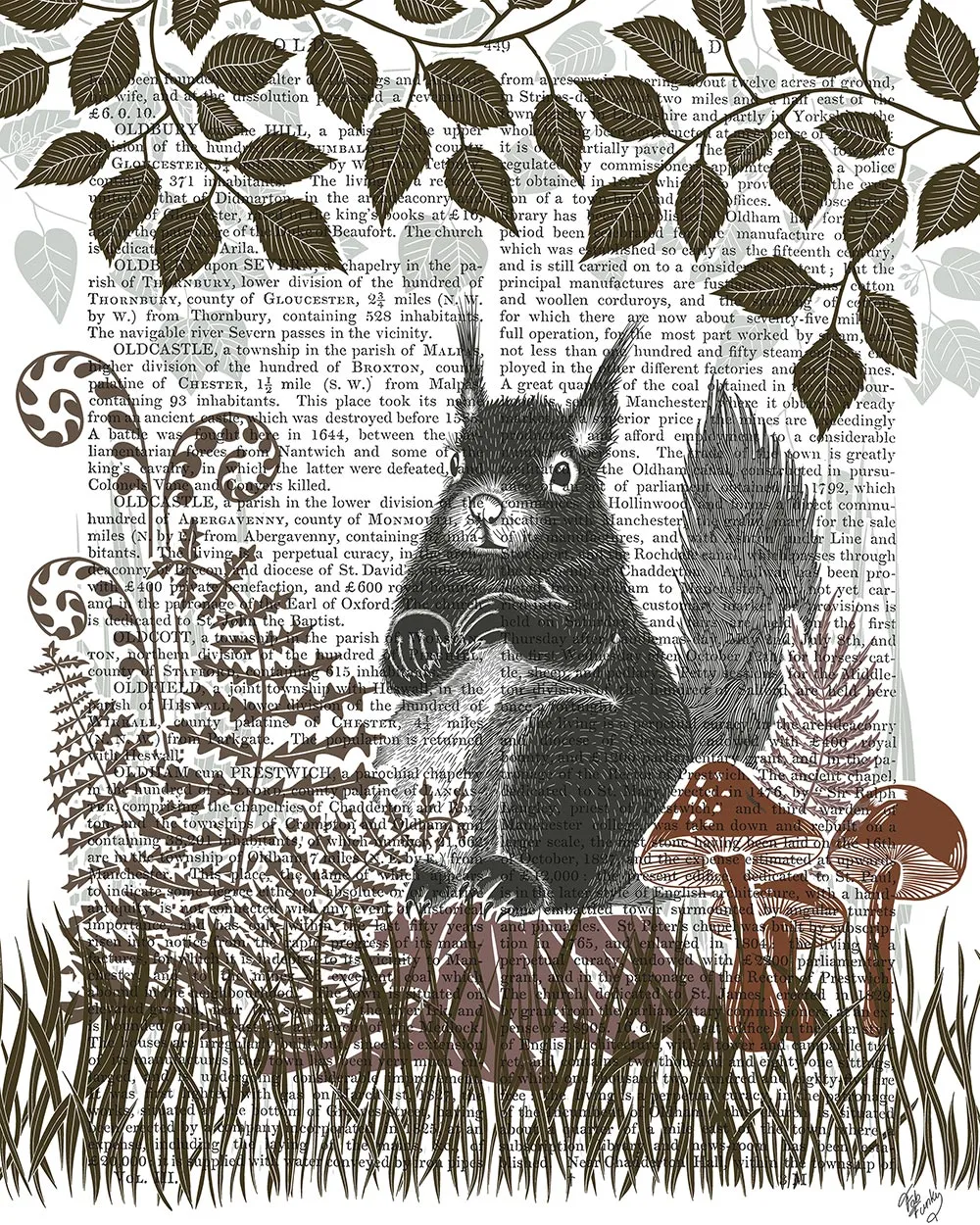 3mCountry-Lane-Squirrel-2-Earth-Book-Print-Art-Print-Wall-Art